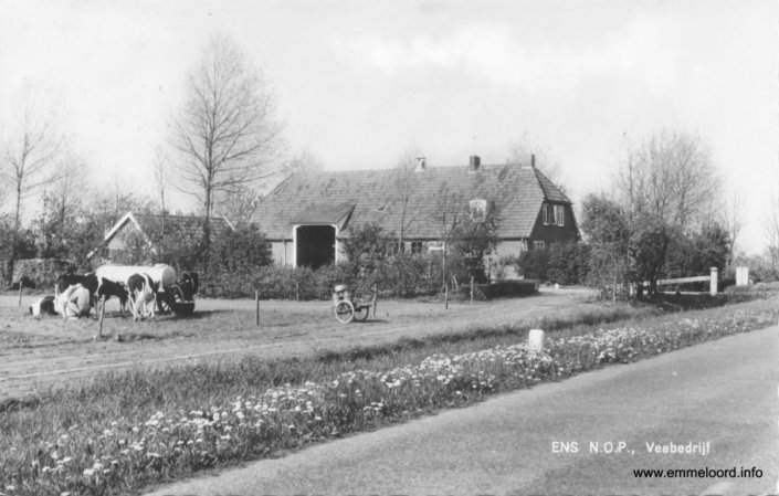 Boerderij-5.jpg
